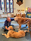 Pastor Jim blessing dogs
